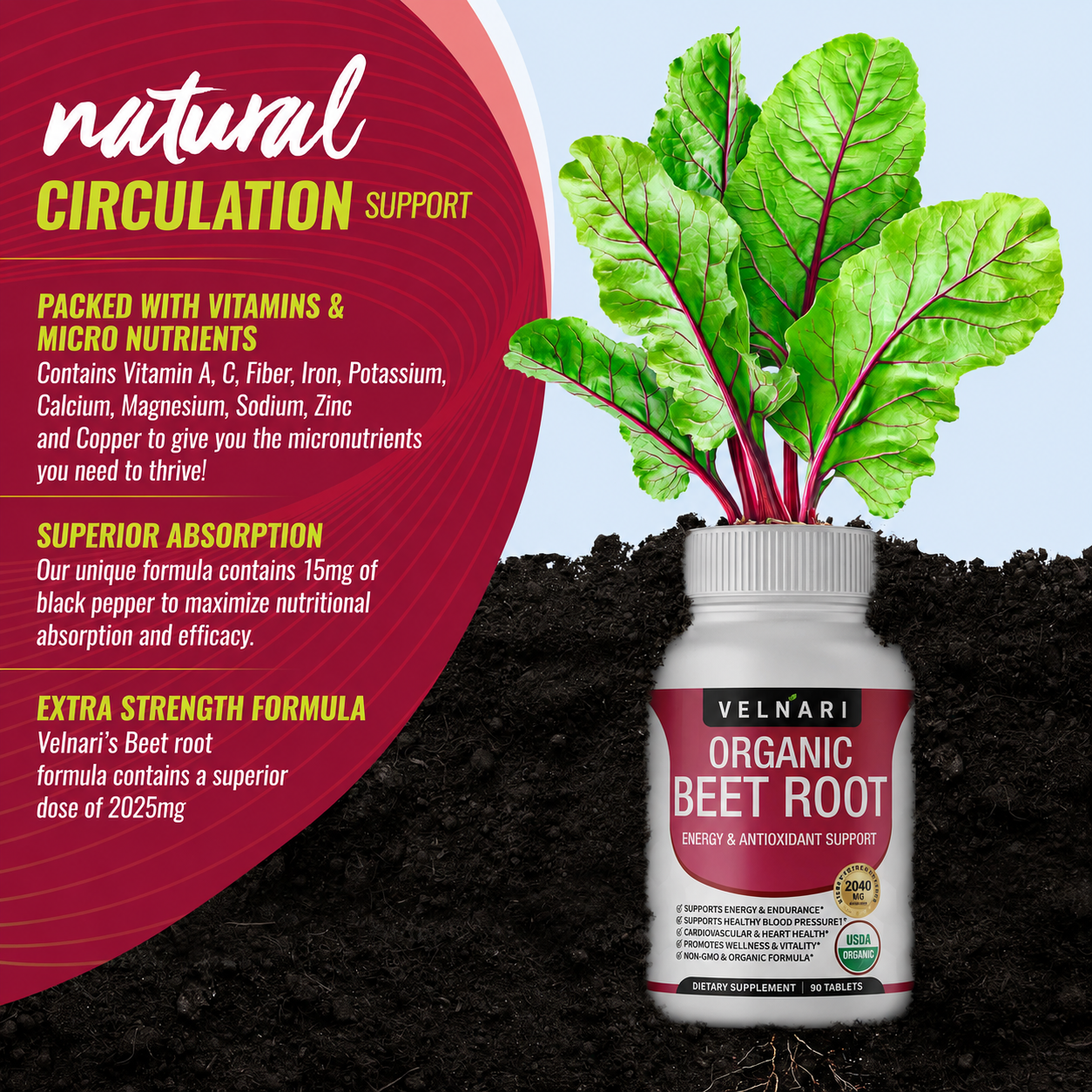 Organic Beet Root - Circulation & Energy Support